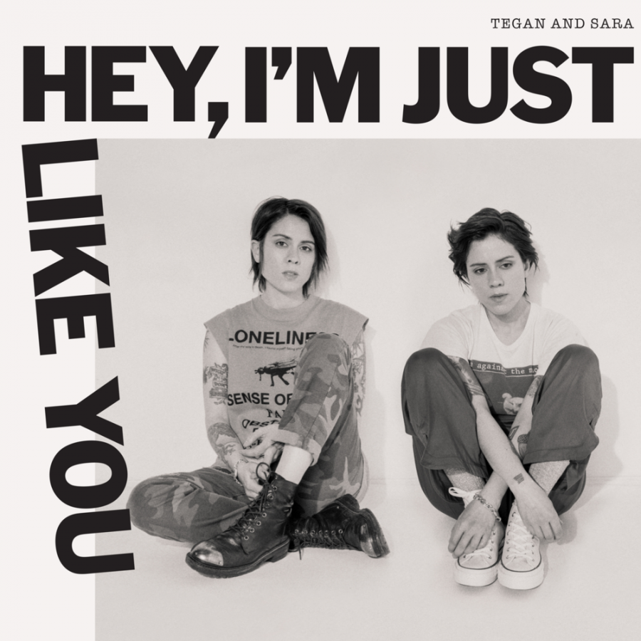 Tegan and Sara featuring Tegan and Sara — Don&#039;t Believe The Things They Tell You (They Lie) cover artwork