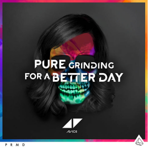 Avicii For a Better Day cover artwork