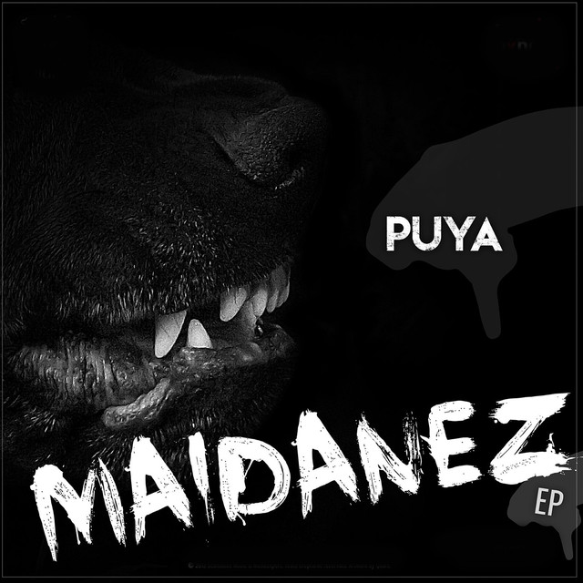 Puya featuring Doddy, Posset, Mahia Beldo, & Alex Velea — Maidanez cover artwork