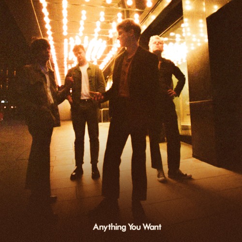 Weird Milk — Anything You Want cover artwork