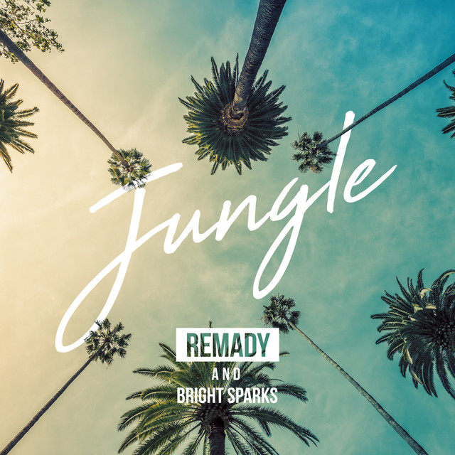 Remady & Bright Sparks — Jungle cover artwork
