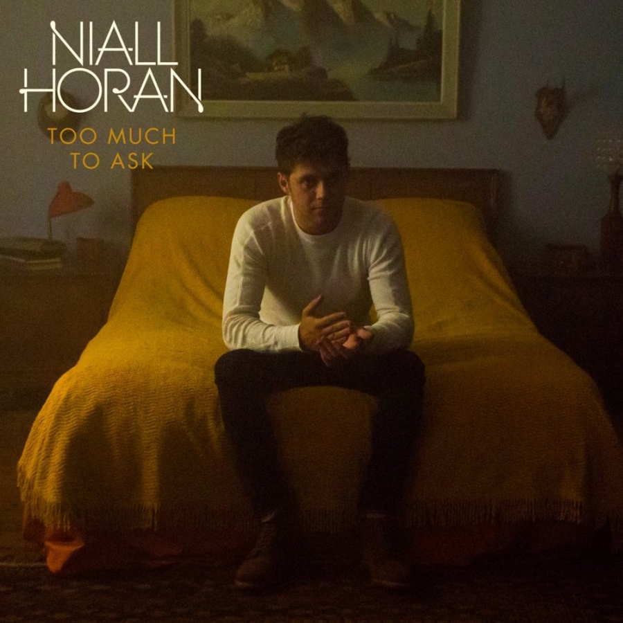 Niall Horan Too Much to Ask cover artwork