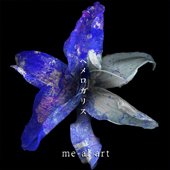 me-al art — 体温 cover artwork