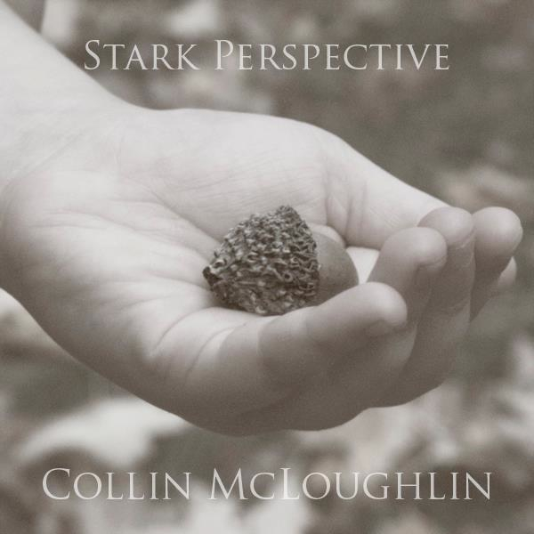 Collin McLoughlin — Can&#039;t Turn Around cover artwork