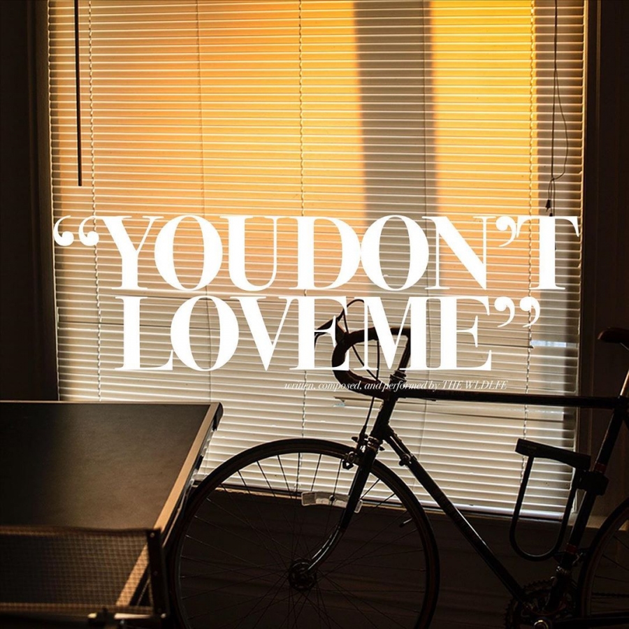The Wldlfe — You Don&#039;t Love Me (Like You Used To) cover artwork