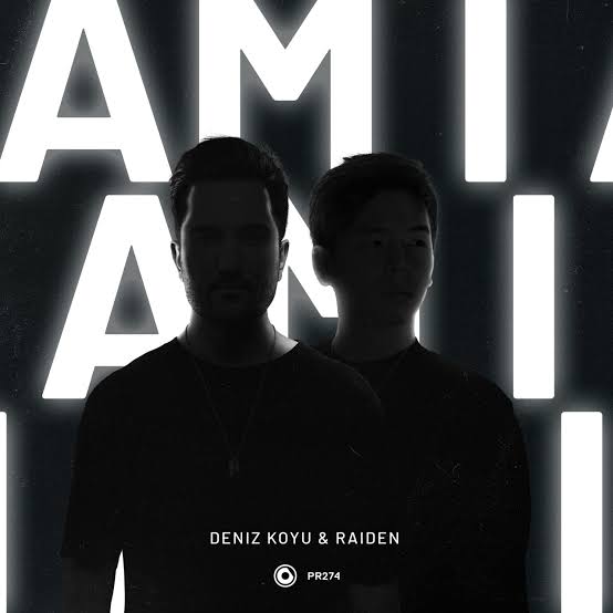 Deniz Koyu & Raiden Am I cover artwork