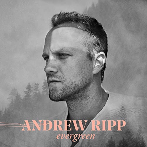 Andrew Ripp Evergreen cover artwork