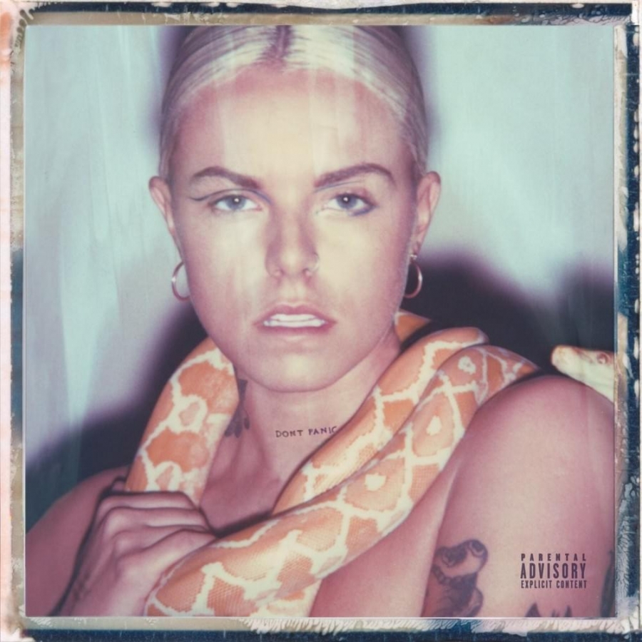 Lauren Sanderson Don&#039;t Panic cover artwork