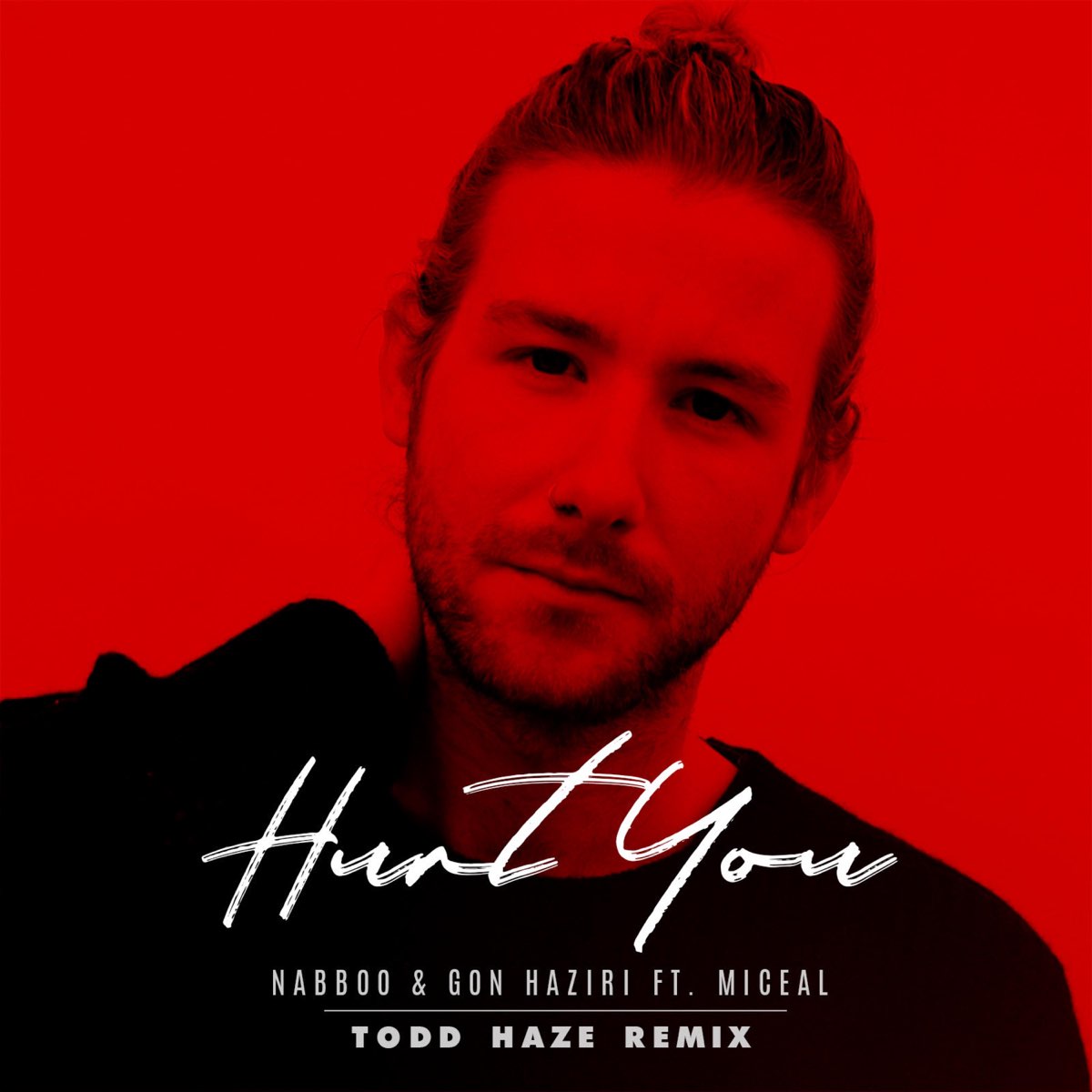 naBBoo & Gon Haziri featuring Miceal & Todd Haze — Hurt You (Todd Haze Remix) cover artwork