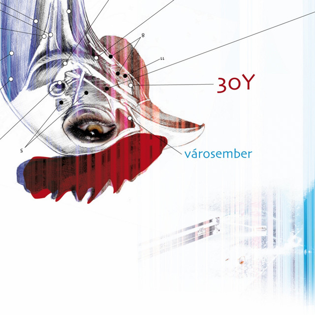 30Y Városember cover artwork