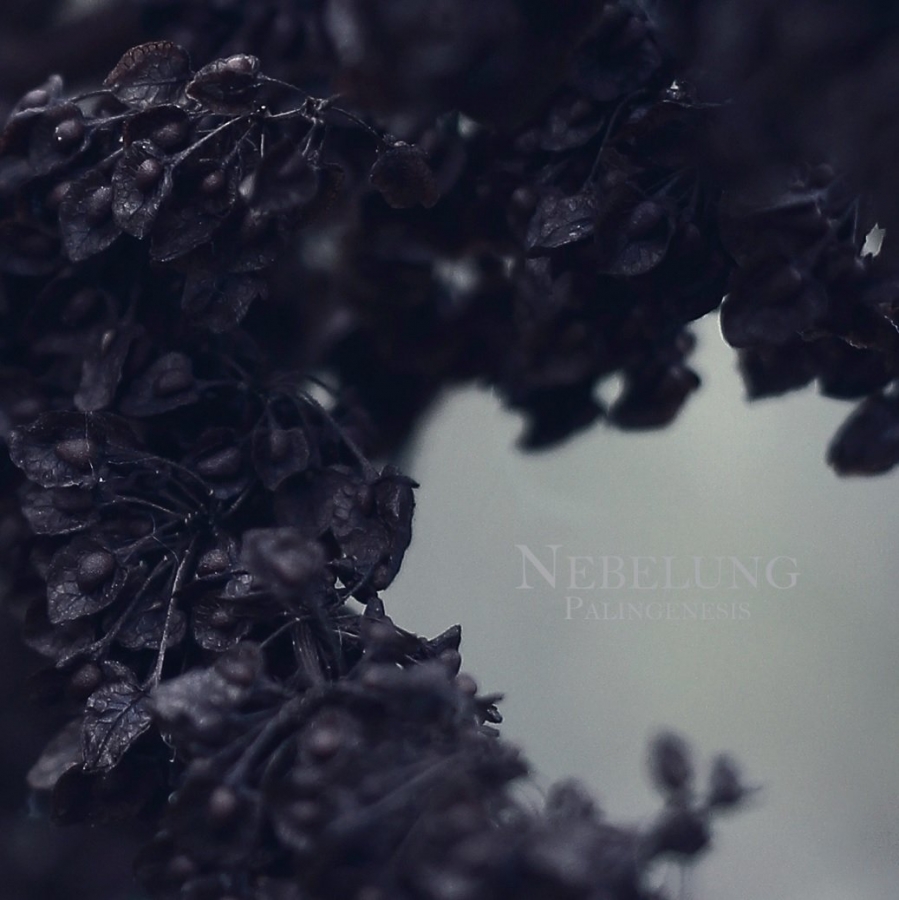Nebelung — Innerlichkeit cover artwork