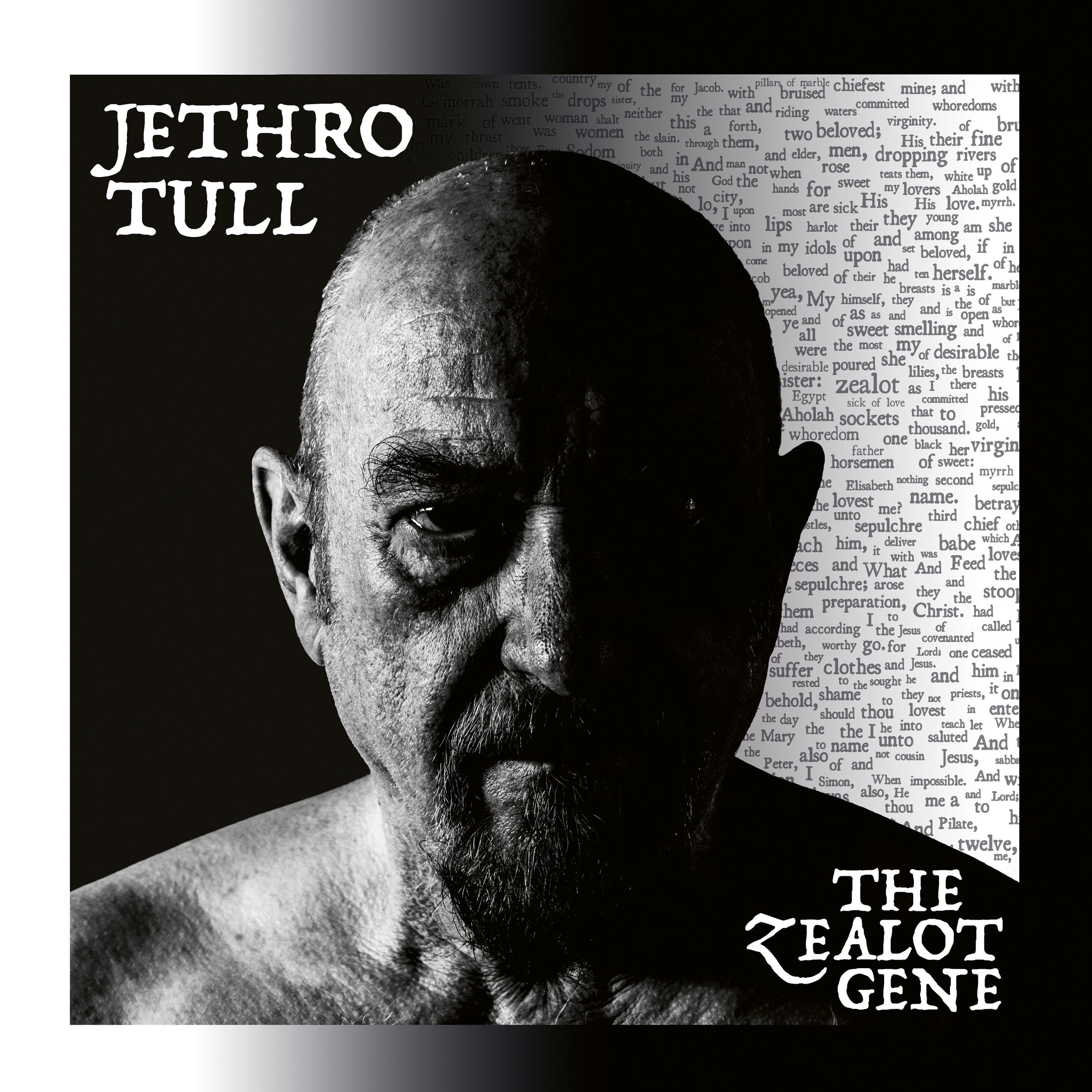 Jethro Tull The Zealot Gene cover artwork