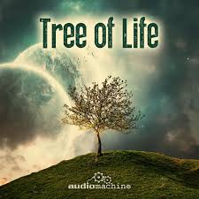 Audiomachine Tree Of Life cover artwork