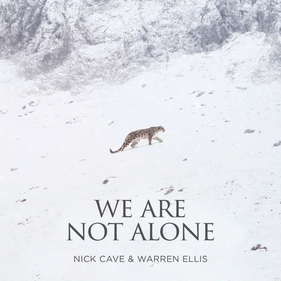 Nick Cave &amp; Warren Ellis We Are Not Alone cover artwork