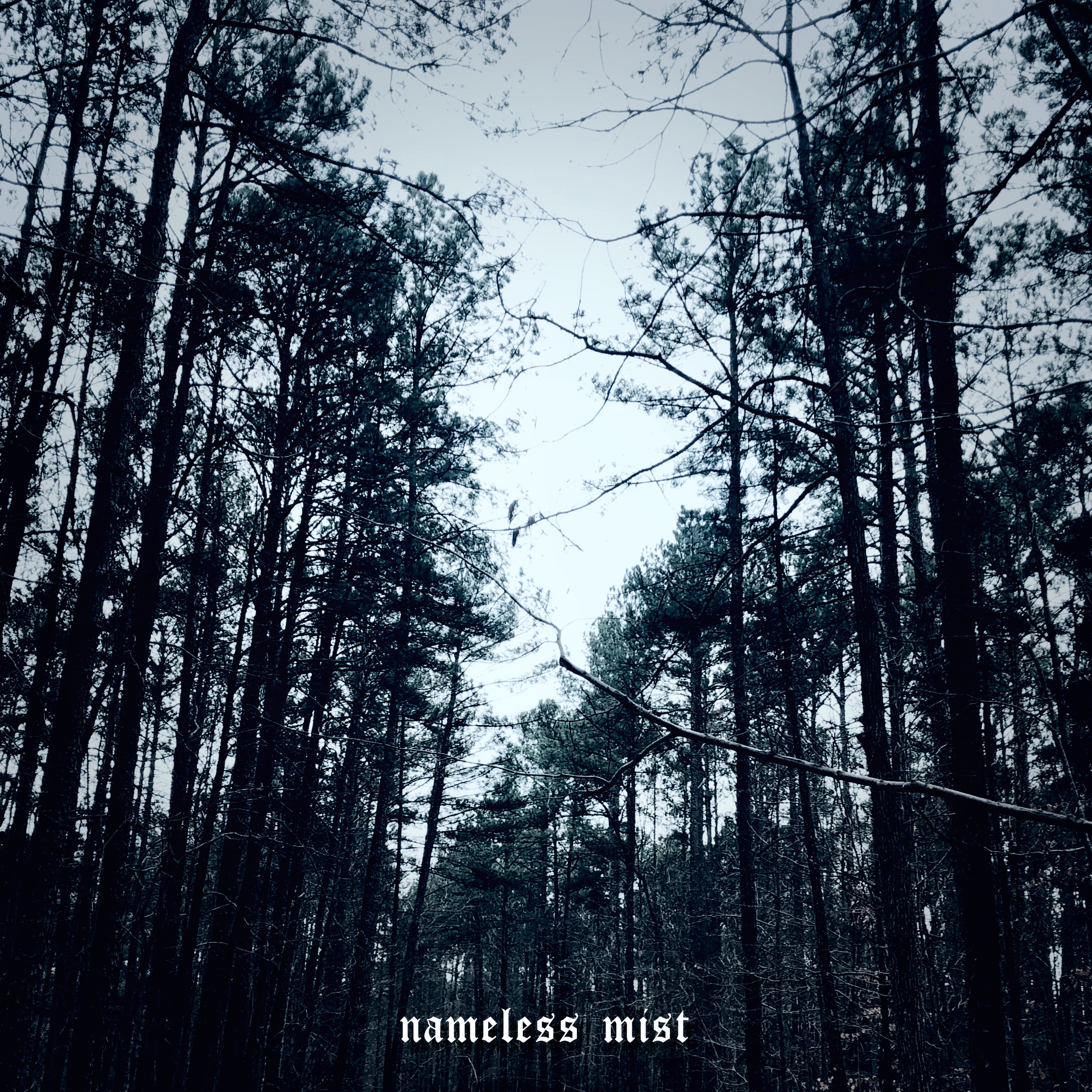 Nameless Mist — The Drowned God cover artwork