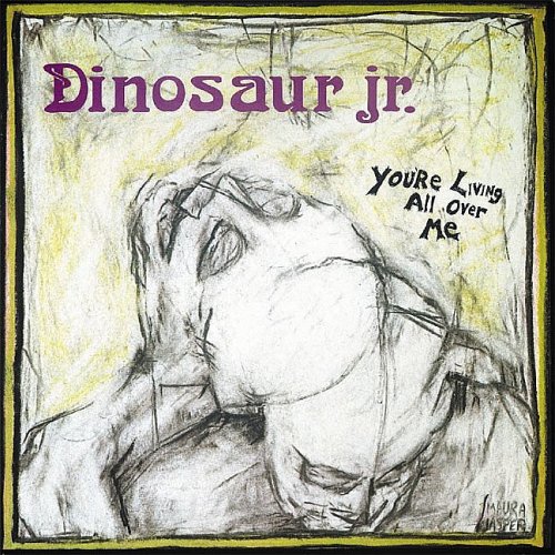 Dinosaur Jr. You&#039;re Lying All Over Me cover artwork