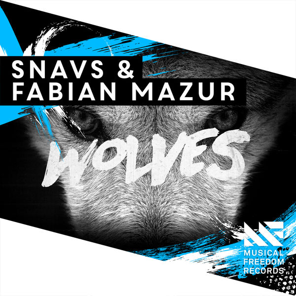 Snavs ft. featuring Fabian Mazur Wolves cover artwork