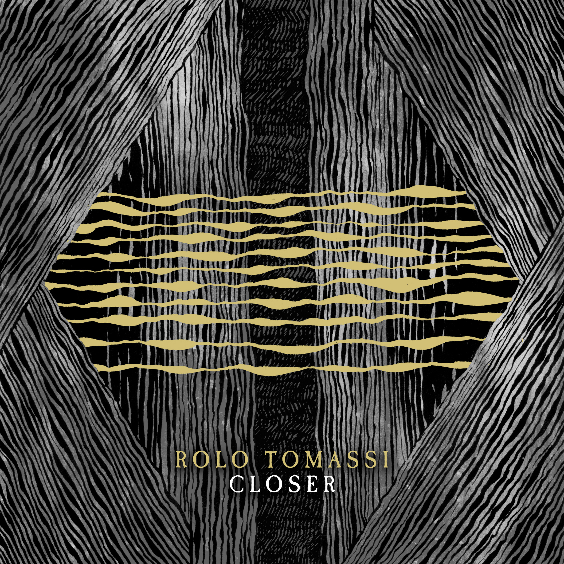 Rolo Tomassi — Closer cover artwork