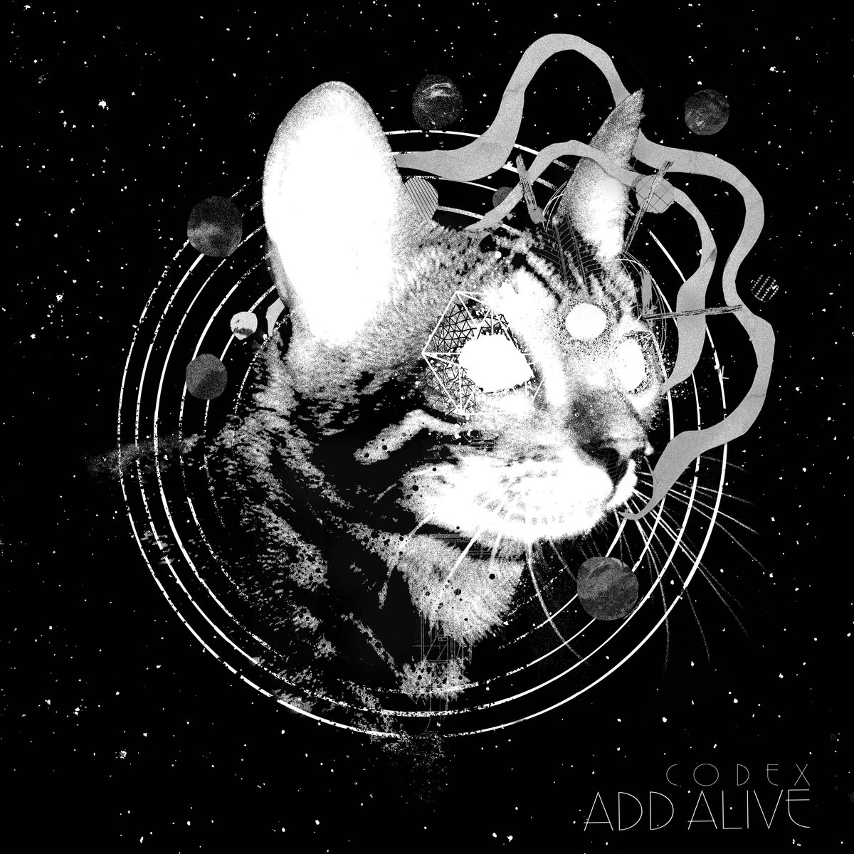 Codex — ADD Alive cover artwork