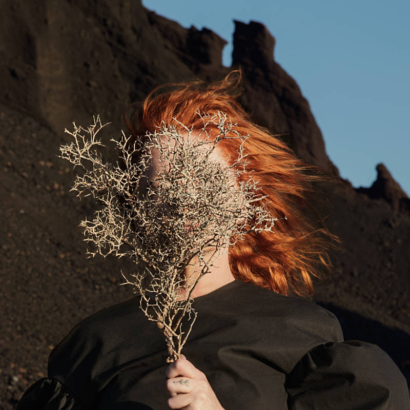 Goldfrapp — Everything Is Never Enough cover artwork
