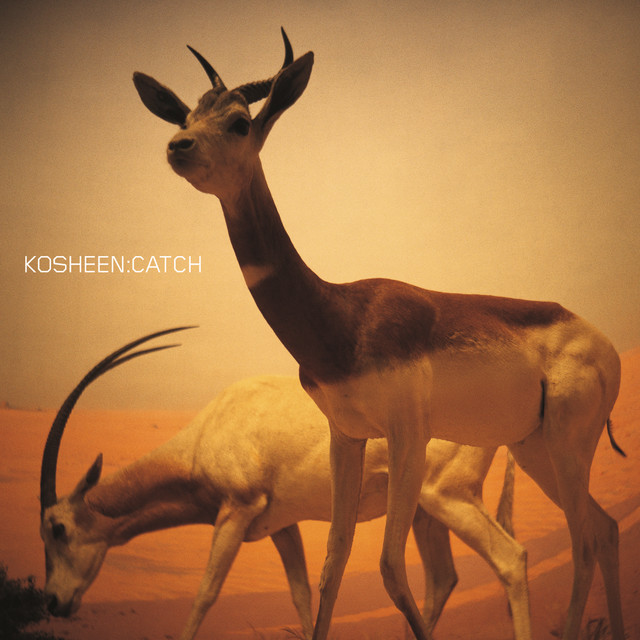 Kosheen — Catch (Ferry Corsten Remix) cover artwork