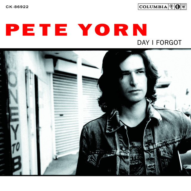 Pete Yorn Day I Forgot cover artwork