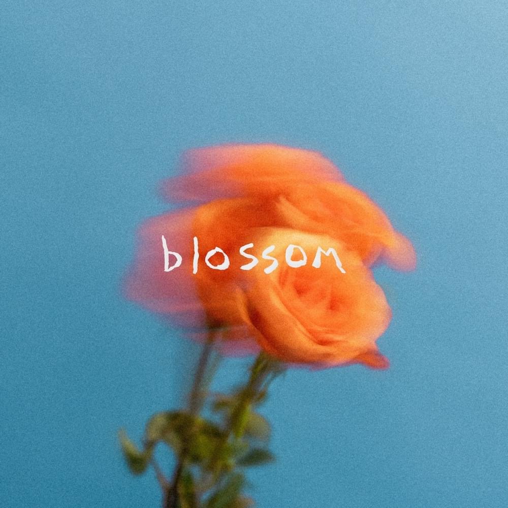 The Summer Set Blossom cover artwork