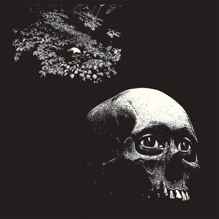 Oh Sees — A Foul Form cover artwork