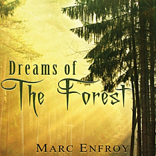 Marc Enfroy Dreams of the Forest cover artwork