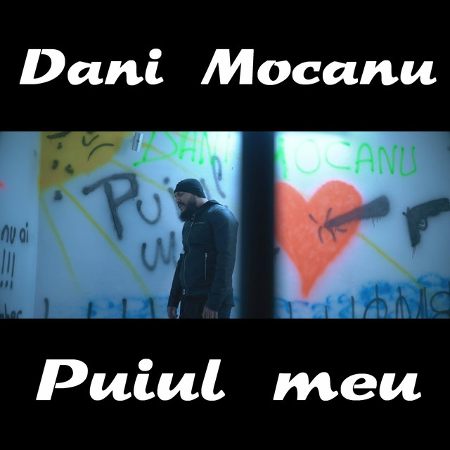 Dani Mocanu Puiul Meu cover artwork