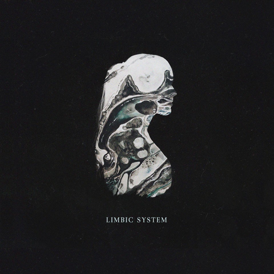 Zealyn featuring JMR — Limbic System cover artwork