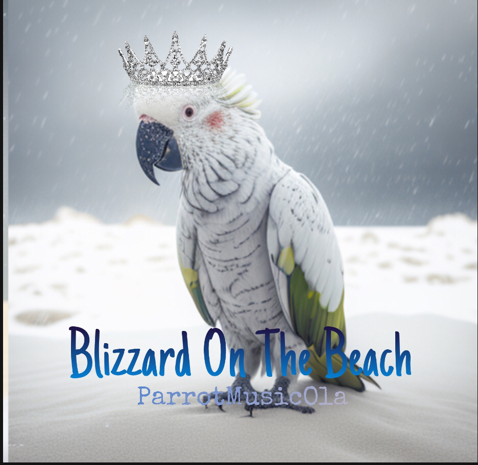 ParrotOla — Blizzard On The Beach cover artwork