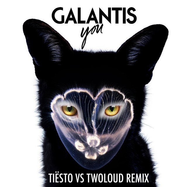 Galantis You (Tiësto vs. Twoloud Remix) cover artwork
