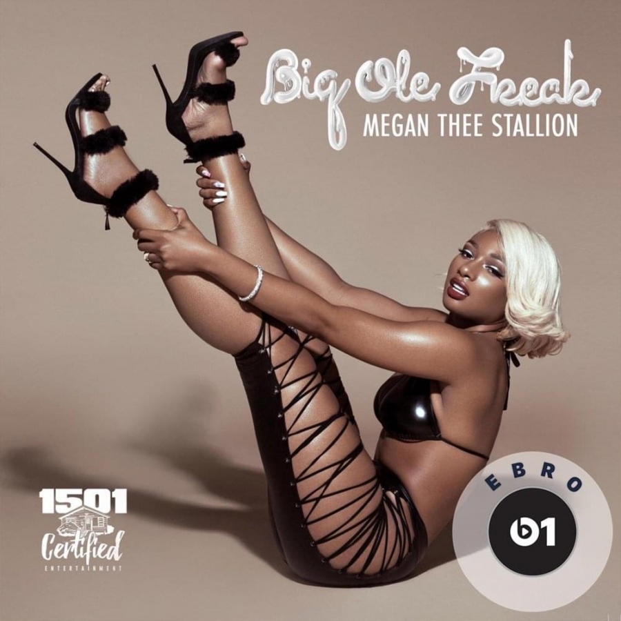 Megan Thee Stallion — Big Ole Freak cover artwork