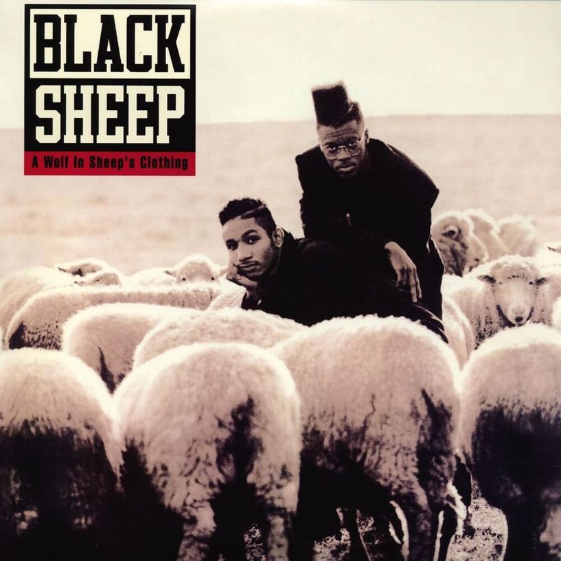 Black Sheep — A Wolf In Sheep&#039;s Clothes cover artwork