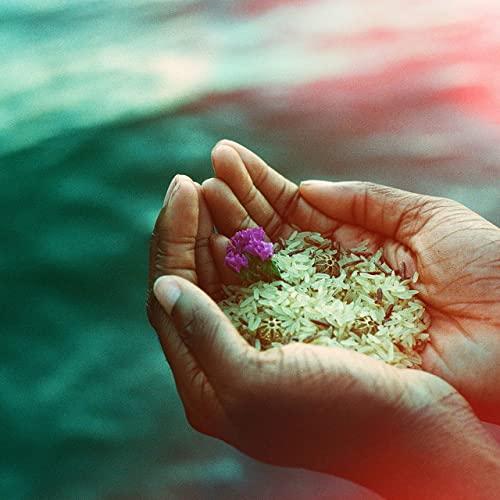 bathe — Bolero cover artwork