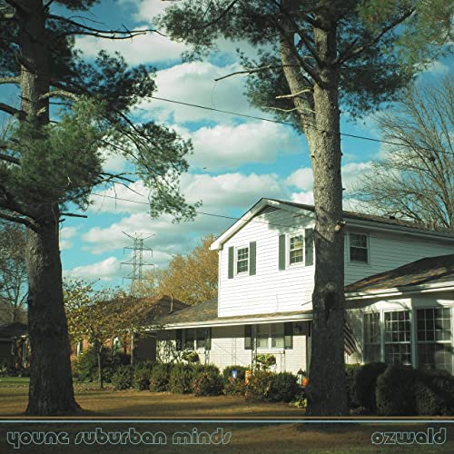 ØZWALD — young suburban minds cover artwork