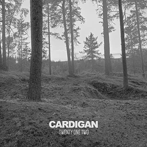 Twenty One Two Cardigan cover artwork