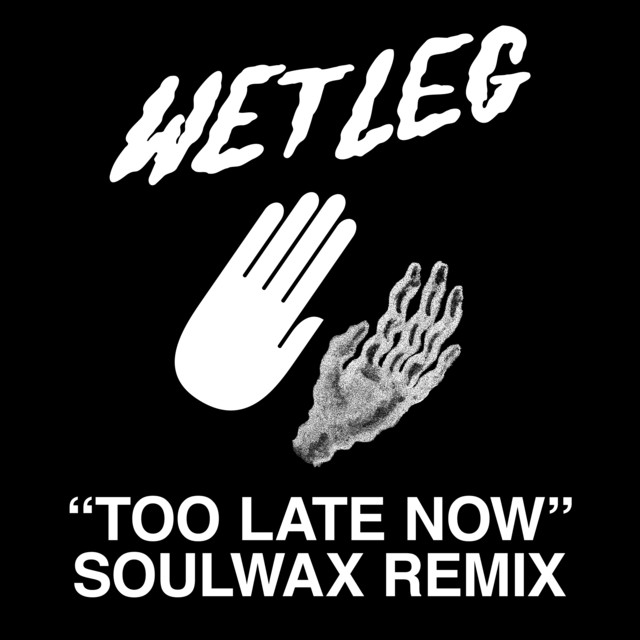 Wet Leg Too Late Now (Soulwax Remix) cover artwork