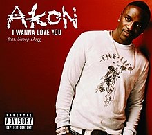 Akon ft. featuring Snoop Dogg I Wanna Love You cover artwork