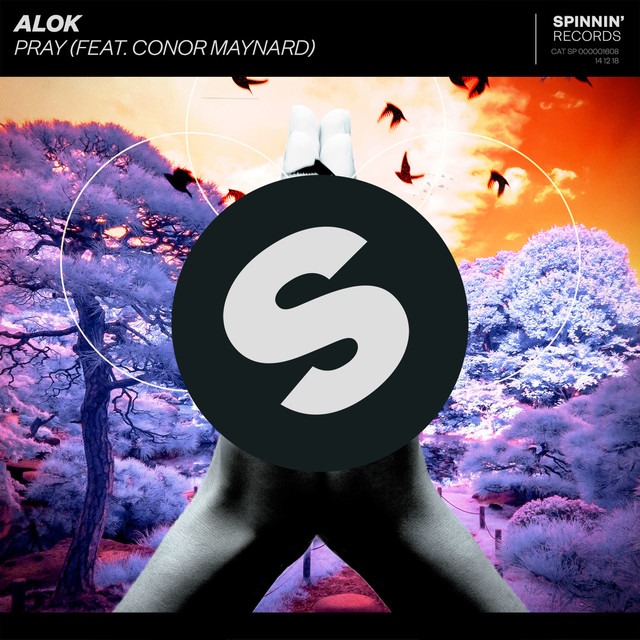 Alok ft. featuring Conor Maynard Pray cover artwork