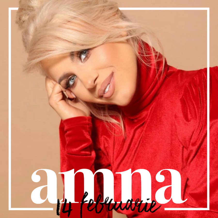 Amna — 14 Februarie cover artwork
