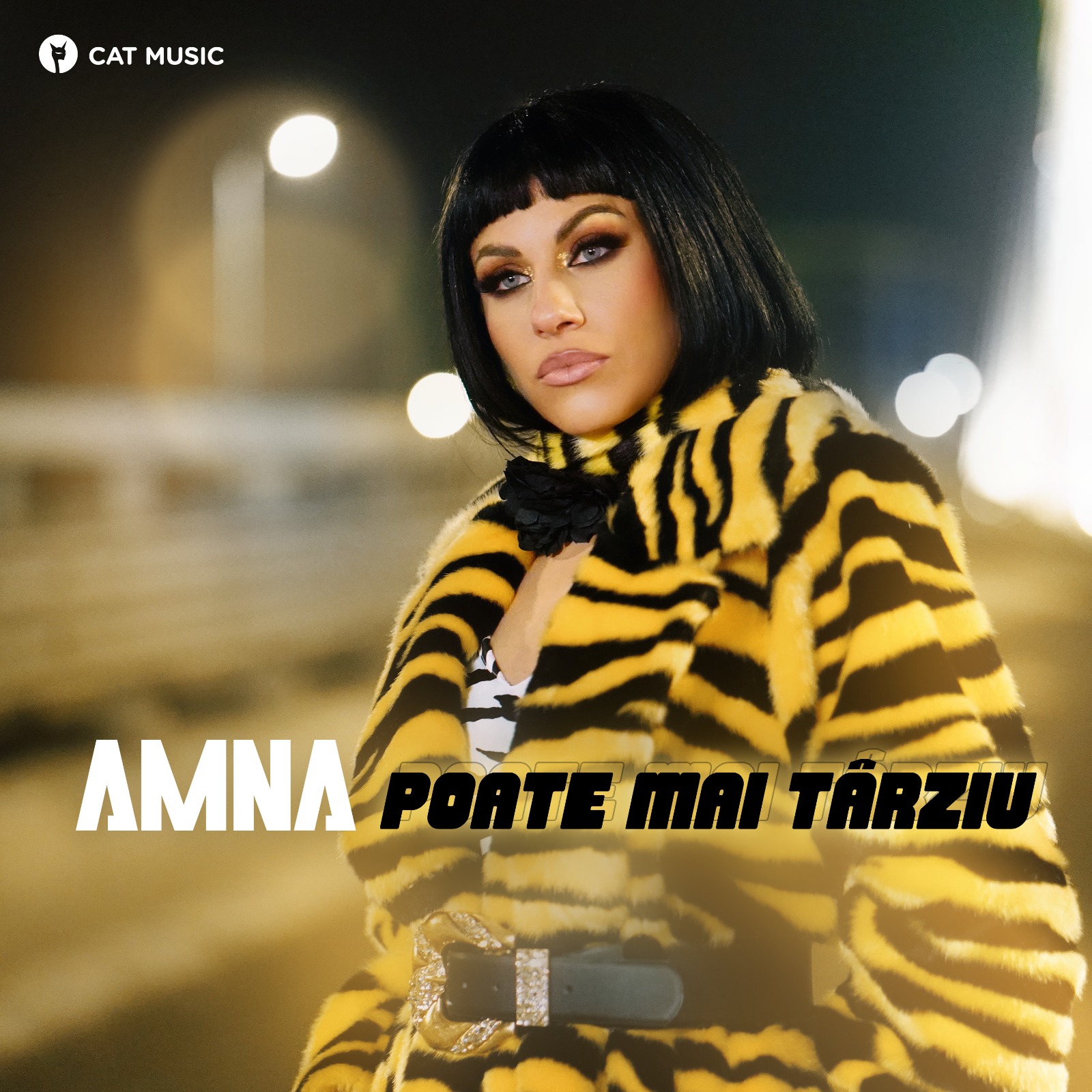 Amna — Poate Mai Târziu cover artwork