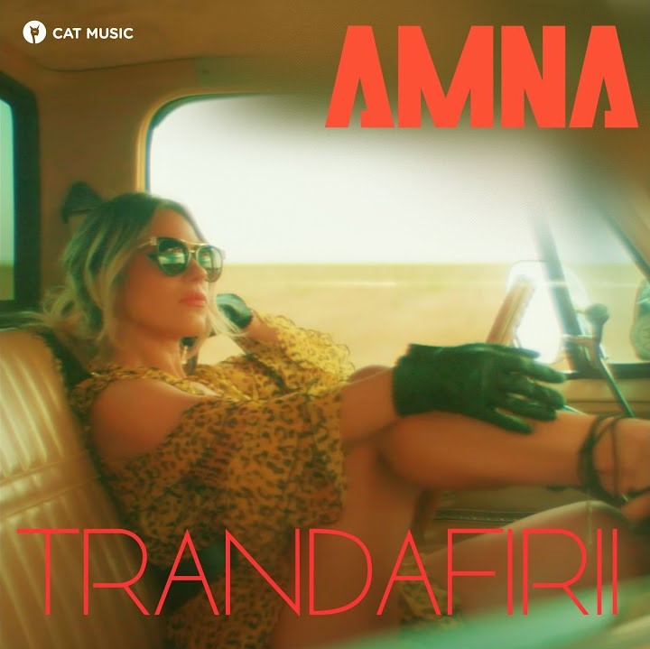 Amna — Trandafirii cover artwork