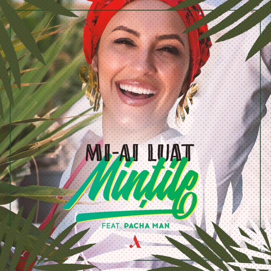 Andra featuring Pacha Man — Mi-ai Luat Mințile cover artwork