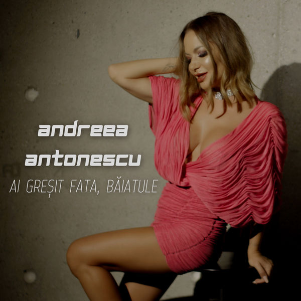 Andreea Antonescu — Ai Greșit Fata, Băiatule cover artwork