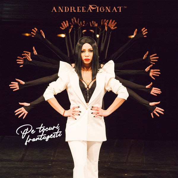 Andreea Ignat — Pe Tocuri Frantuzesti cover artwork