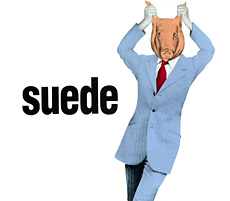 Suede — Animal Nitrate cover artwork