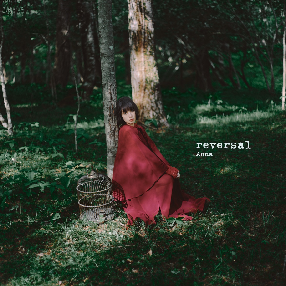 Anna [JP] — reversal cover artwork