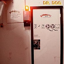 Dr. Dog B-Room cover artwork
